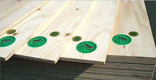 //www.yunfeng.com/images/cp/cp2-5.jpg