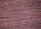 //www.yunfeng.com/images/cp/cp-1-8.jpg
