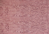 //www.yunfeng.com/images/cp/cp-1-18.jpg