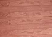 //www.yunfeng.com/images/cp/cp-1-26.jpg
